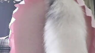 Femboy trans sugar wagging tail for you.