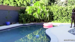 BLACK-TIGLRS:continues The Live On of the Summer Sun