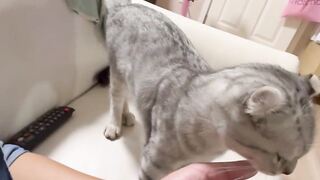 blowing tgirl 2